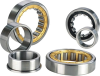 RSL single row full complement cylindrical roller bearings