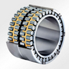 Double Counter Roller Bearings